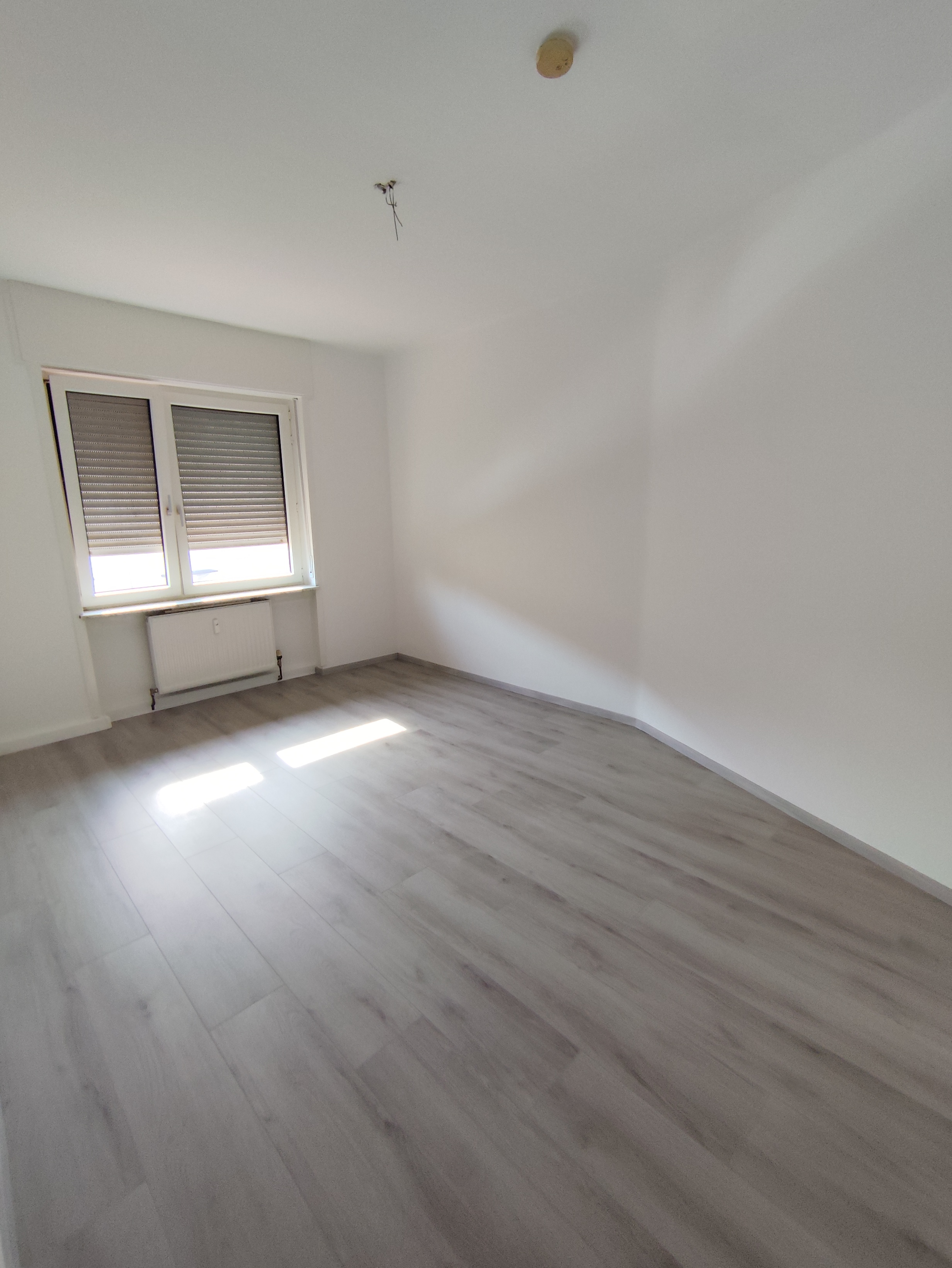 Innenausbau Projekt 5-4